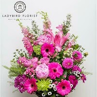 Ladybird Florist 1067982 Image 9
